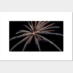 Fireworks Posters and Art